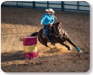 Equine Appraiser