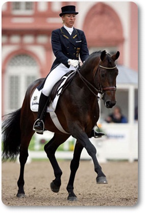 Daventry Equine Appraisal Services