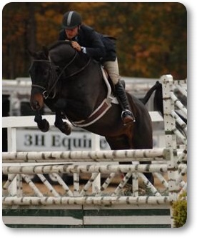 Daventry Equine Appraisal Services