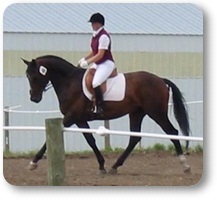 Tracy Dopko - Daventry Equine Appraisal Services