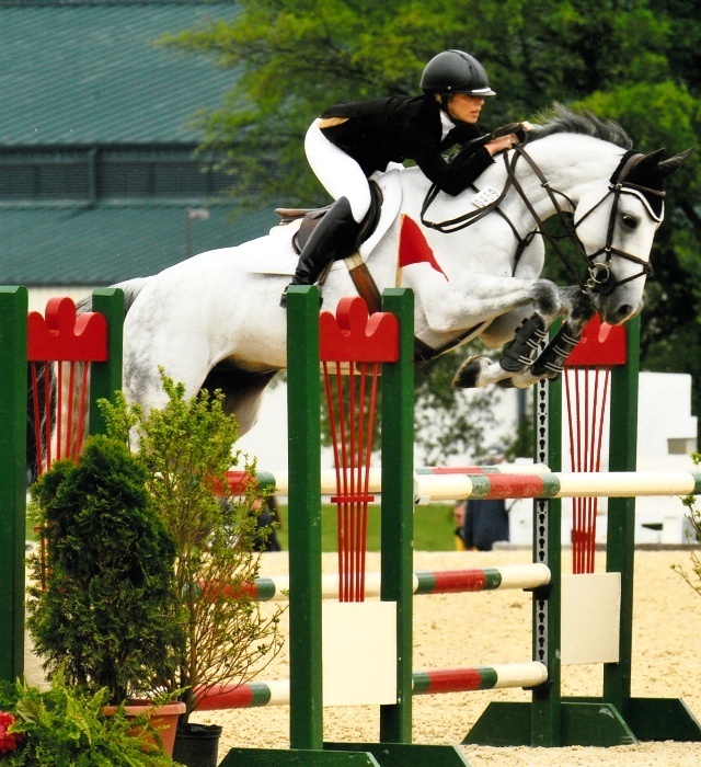 Daventry Equine Appraisal Services