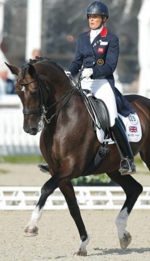 Daventry Equine Appraisal Services